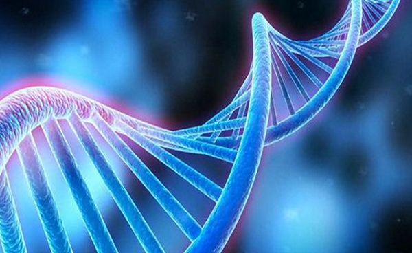 分享一些DNA浓缩仪的保养技巧