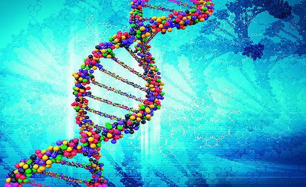 您对真DNA浓缩仪了解多少？