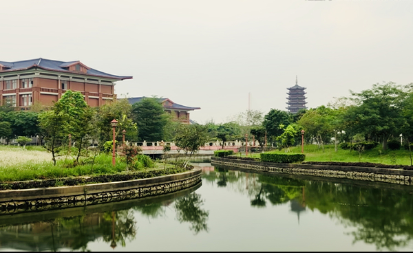 参会资讯-南医药剂青年学者高峰论坛